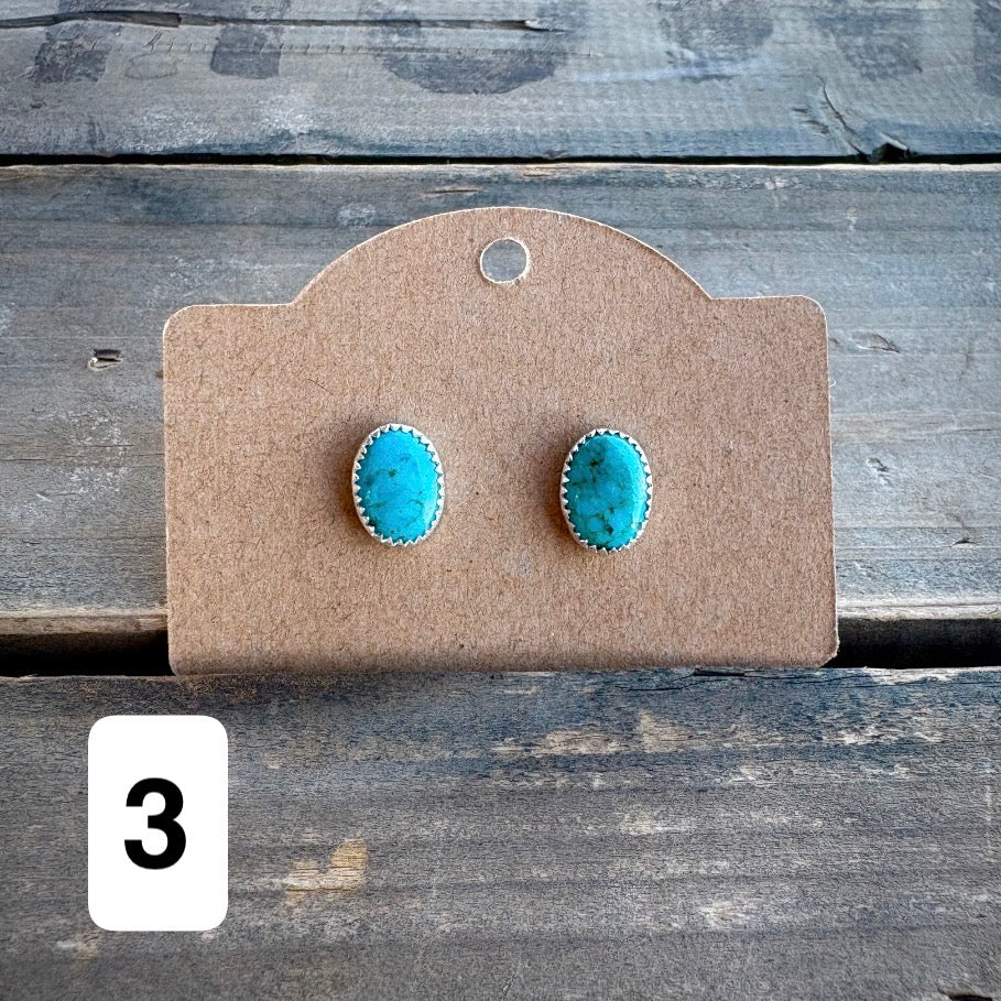 Sonoran Turquoise Earrings