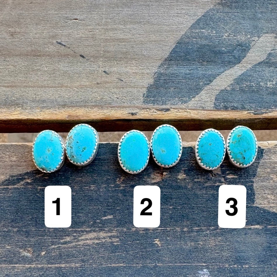 Sonoran Turquoise Earrings