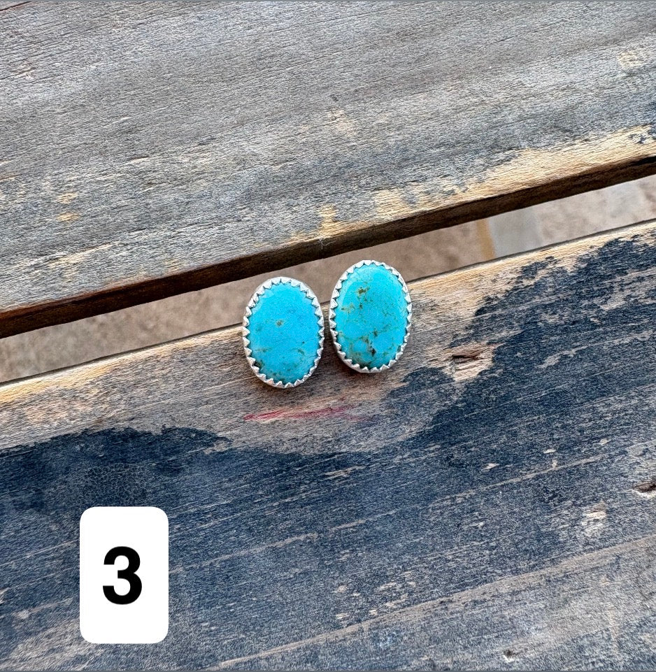 Sonoran Turquoise Earrings