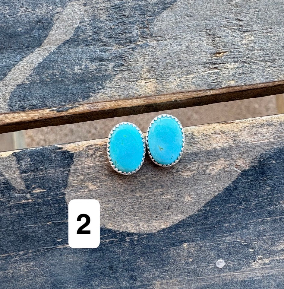 Sonoran Turquoise Earrings